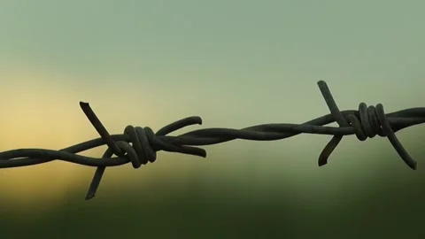 Barbed Wire Fence 動画素材 236226112