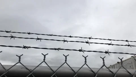 Barbed Wire Fence Stock Footage 289697194