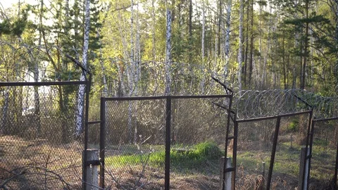 Barbed wire fence in the forest 库存影片 130152129