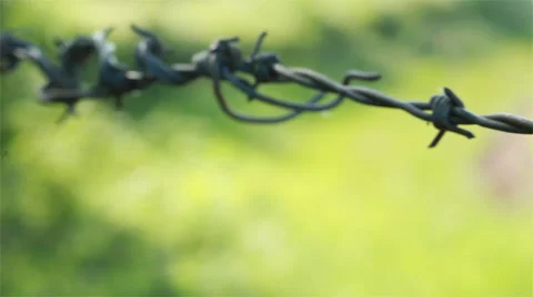 Barbed wire fence with green fields behind. An agricultural border. Shot on 5D Vídeo Stock 32961419