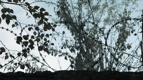 Barbed wire on a fence, the object is guarded by a wire. Prison with barbed wire Stock Footage 164000528