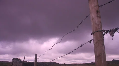 Barbed wire fence, overcast Stock Footage 38548917