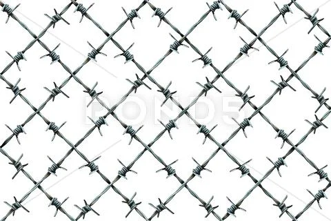 Barbed Wire Fence Pattern