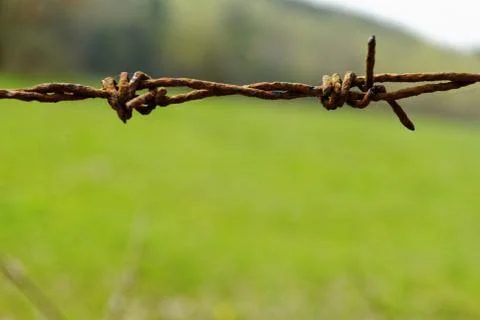 Barbed wire fence Foto stock