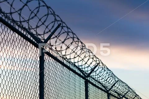 Barbed wire fence Stock Photos