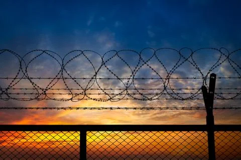 Barbed wire fence Stock Photos
