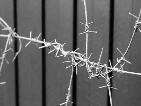 Barbed wire fence Stock Photos