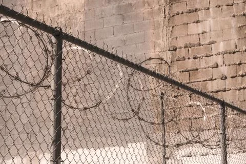 Barbed wire fence Stock Photos