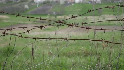 Barbed wire fence 库存照片