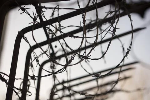 Barbed wire fence Stock Photos