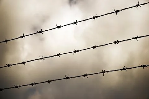 Barbed wire fence Stock Photos