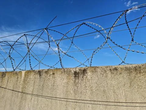 Barbed wire on the fence Stockfoto's