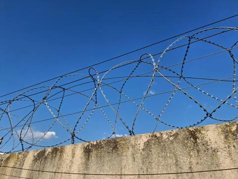 Barbed wire on the fence Stockfoto's