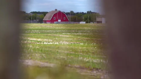 Barbed wire fence with red barn in the background. Stock Footage 67610096