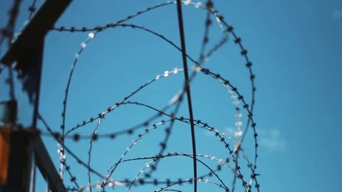 Barbed wire fence. restricted area. Closed territory. Warning of danger Stock Footage 75286262