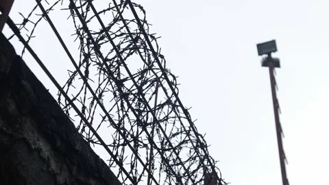 Barbed wire fence rows silhouetted against white overcast sky Stock-Footage 333965449
