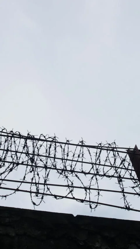 Barbed wire fence rows silhouetted against white overcast sky Vídeos de archivo 333965549