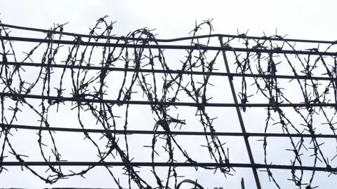 Barbed wire fence rows silhouetted against white overcast sky Vídeos de archivo 333965577