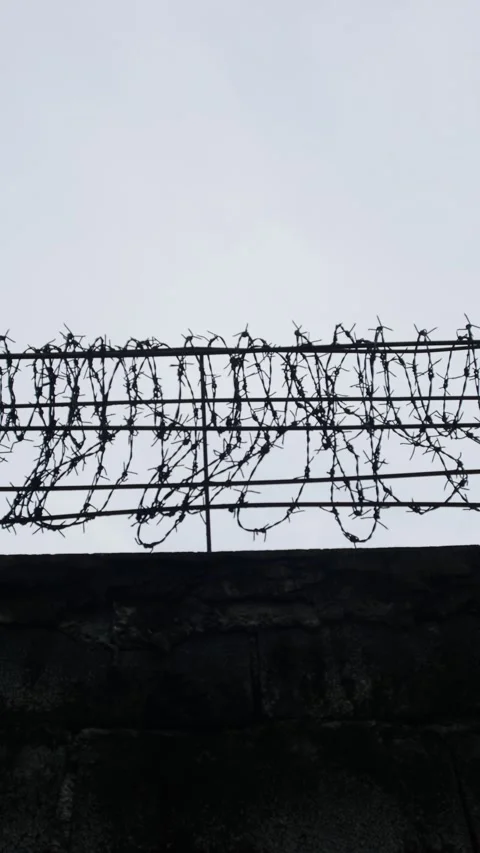 Barbed wire fence rows silhouetted against white overcast sky 库存影片 334413522