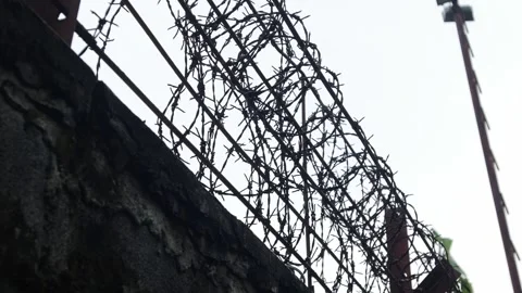 Barbed wire fence rows silhouetted against white overcast sky 库存影片 334790346