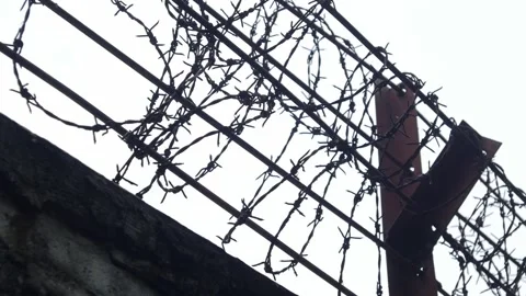 Barbed wire fence rows silhouetted against white overcast sky 库存影片 334790361
