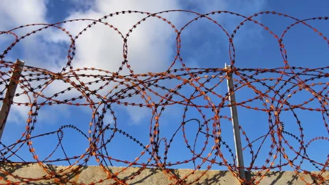 Barbed Wire Fence for Security Stock Footage 313366245