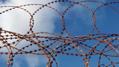 Barbed Wire Fence for Security Stock Footage 313435044