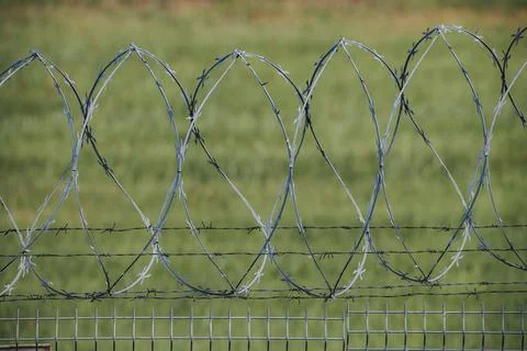 Barbed wire fence with sharp coils and metal mesh base, set against a blurr.. Stock Photos