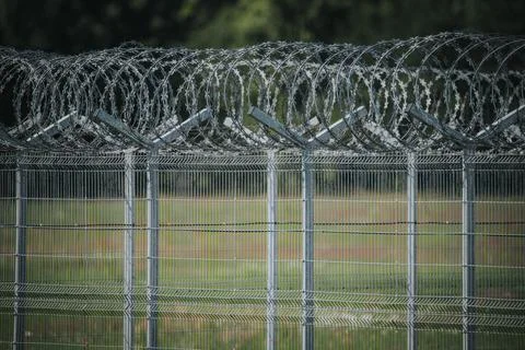 Barbed wire fence with sharp edges surrounding a secured area, green grass .. Stock Photos
