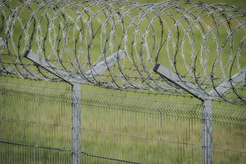 Barbed wire fence with sharp metal spikes and green grass background, desig.. Stock Photos