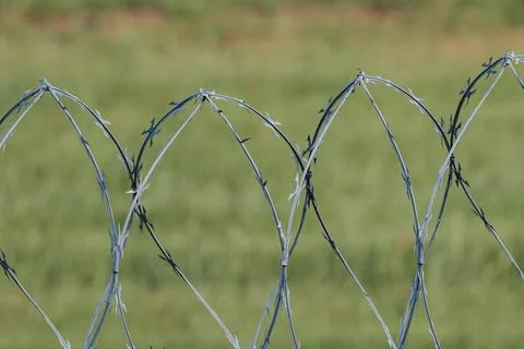 Barbed wire fence with sharp points and twists, set against a blurred green.. Stock Photos