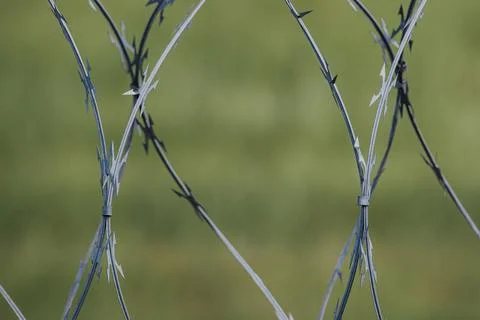 Barbed wire fence with sharp points and twisted strands against a blurred g.. Stock Photos