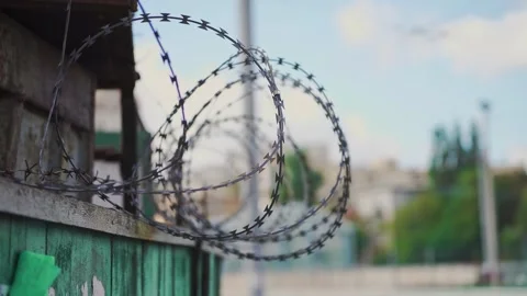 Barbed wire fence with sharp razor coils on top. military zone. Stock Footage 306623304