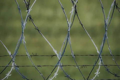 Barbed wire fence with sharp spikes and twisted strands, set against a blur.. Stock Photos