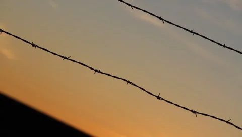 Barbed Wire Fence Sunrise Stock Footage