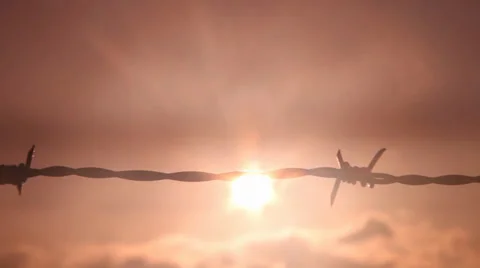 Barbed wire fence, sunset 1 Stock Footage 38678089