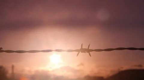 Barbed wire fence, sunset 2 Stock Footage 38678085