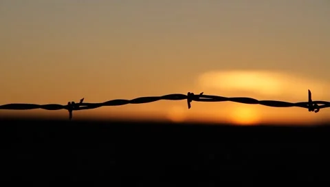 Barbed Wire Fence Sunset Stock Footage 1016095