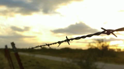 Barbed Wire Fence at Sunset Stock-Footage 12530585