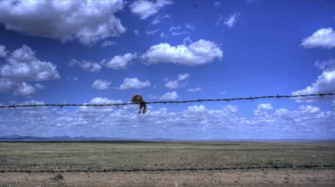 Barbed wire fence timelapse Stock Footage 36969451