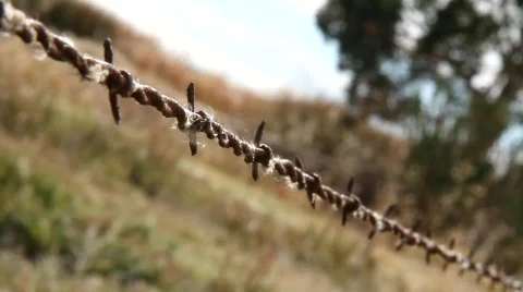 Barbed Wire Fence View Stock Footage 850182