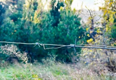 Barbed wire in a field with trees in the background. Stock Photos