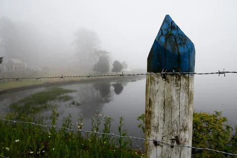 Barbed wire in focus with plants in the background Stock Photos