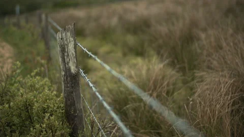 Barbed Wire Focus Pull Stock Footage 154412310