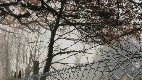 Barbed wire in a fog Stock Footage 120602081
