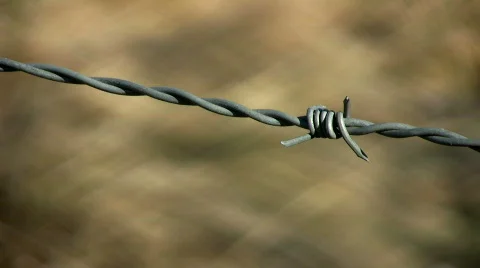 Barbed wire Video stock 346966