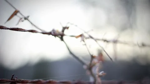 Barbed Wire Video stock 6797756