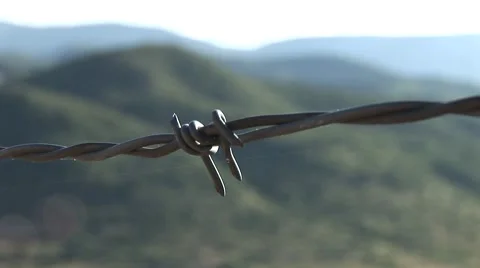 Barbed wire Vídeo Stock 7756720