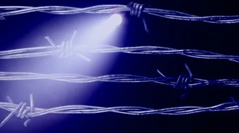 Barbed Wire Stock Footage 8963972