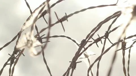 Barbed wire Stock-Footage 11135665